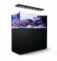 Preview: Red Sea Reefer Peninsula 650 DELUXE Meerwasseraquarium Komplettset Preview: Red Sea Reefer Peninsula 650 DELUXE Meerwasseraquarium Komplettset
